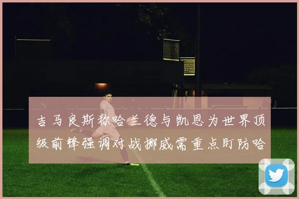吉马良斯称哈兰德与凯恩为世界顶级前锋强调对战挪威需重点盯防哈兰德